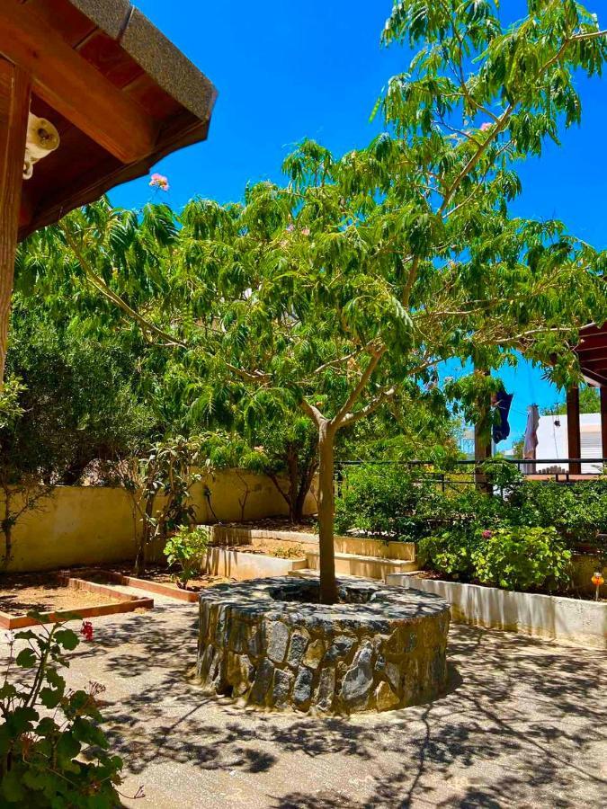 Cherrywood Creta Apartment Ierapetra  Bagian luar foto
