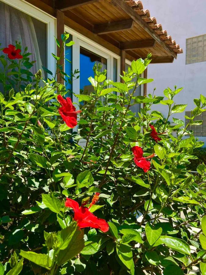 Cherrywood Creta Apartment Ierapetra  Bagian luar foto